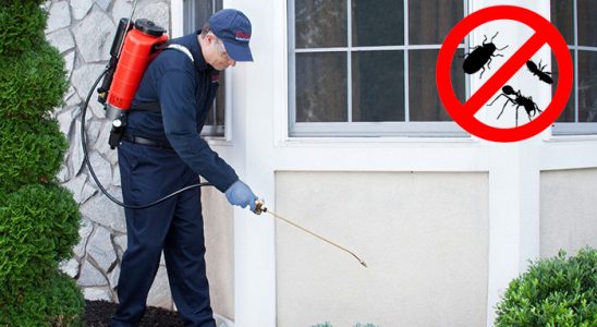 Sason Bit İlaçlama böcek ilaçlama ve haşere kontrolü — ilaclama-tr.com
